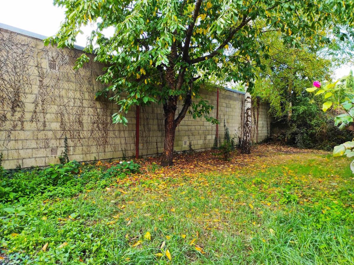 Maison Avec Jardin En Centre Ville - Proche Gare Et Circuit 24H Du Mans ルマン エクステリア 写真